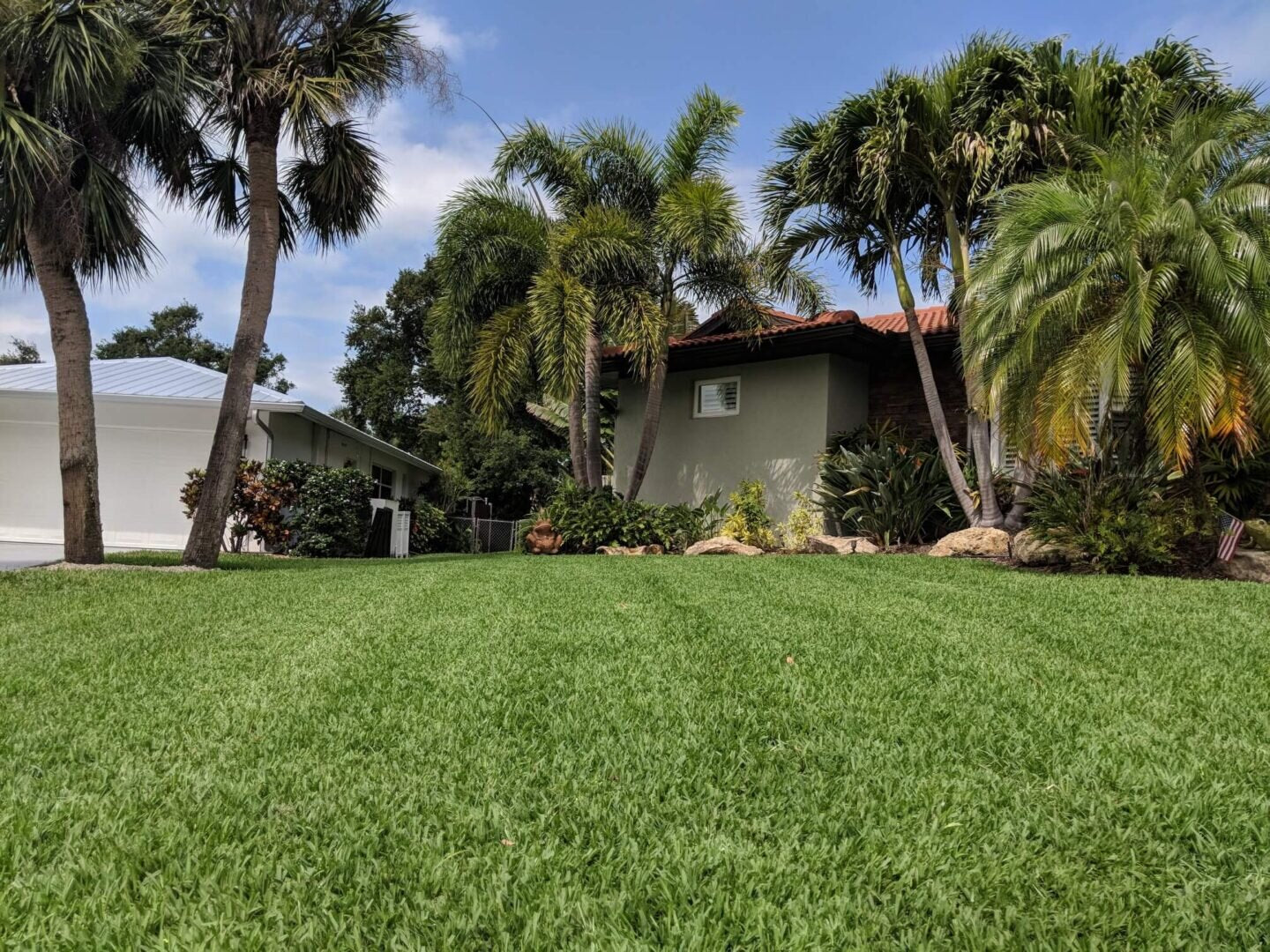 Lush, manicured front lawn with palm trees by TruEdge