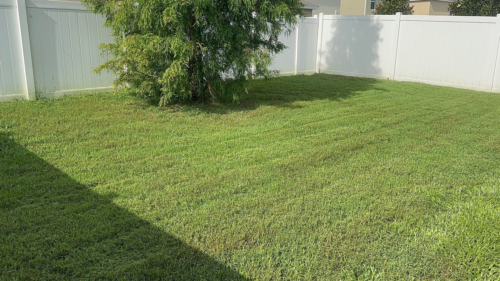 Freshly cut, manicured backyard lawn by TruEdge
