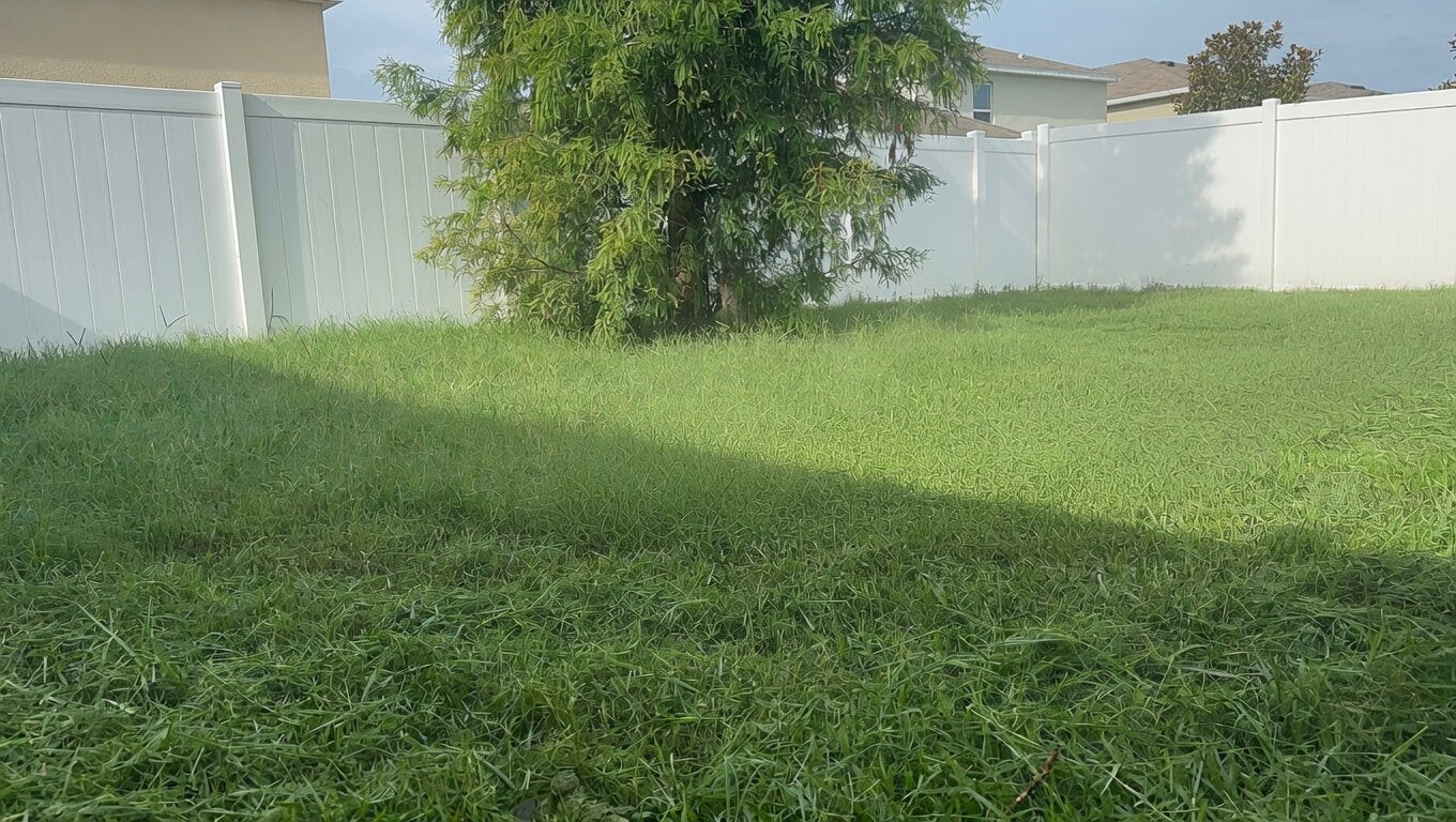 Overgrown backyard lawn before TruEdge service