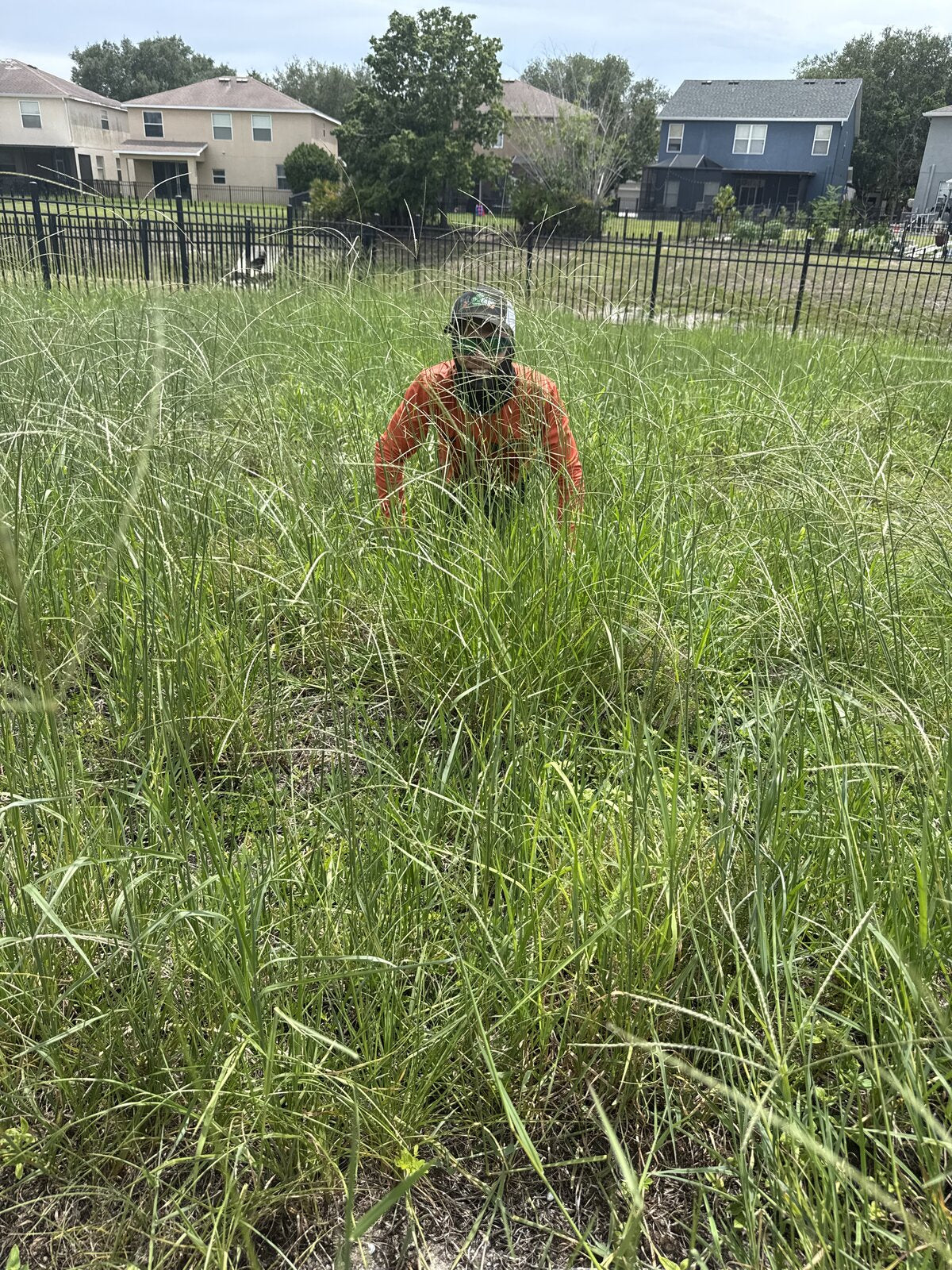 TruEdge crew member standing in chest-high overgrown grass before service