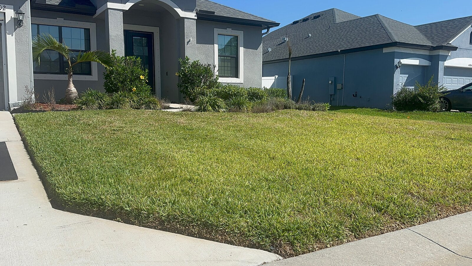Lush, freshly mowed front yard along the sidewalk by TruEdge